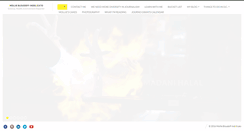 Desktop Screenshot of mbloudoff.com
